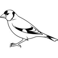 Diving Duck swims icon vector
