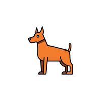 Doberman Pinscher dog learns icon vector