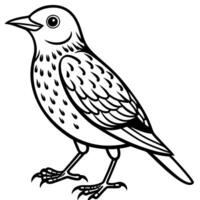 Dracula Parrot reading icon vector