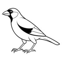 Dracula Parrot screams icon vector