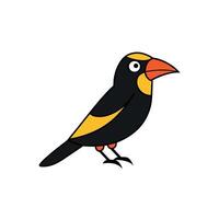 Dracula Parrot sleeps icon vector