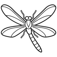 Dragonfly insect jumps icon vector