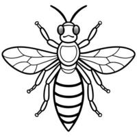 Dung Beetle bug reading icon vector