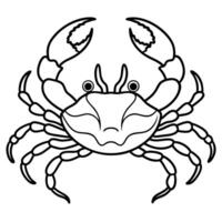 Dungeness Crab walks icon vector