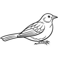 Dunnock bird lies icon vector