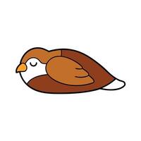 Dusky Seaside Sparrow bird reading icon vector