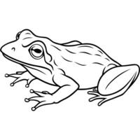 Dwarf Crocodile knocks icon vector