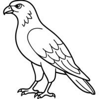 Eagle bird play icon vector