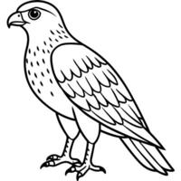 Eagle bird reading icon vector