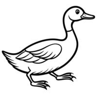 Eared Grebe duck runs icon vector