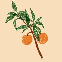 Peach. Colorful cute screen printing effect. Riso print effect. illustration. Graphic element for fabric, textile, clothing, wrapping paper, wallpaper, poster. vector