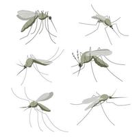Set of mosquitoes. Small mosquito insect. Illustration in flat, simple, cartoon style vector