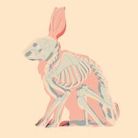 Skeleton of rabbit, bunny. Colorful cute screen printing effect. Riso print effect. illustration. Graphic element for fabric, textile, clothing, wrapping paper, wallpaper, poster. vector