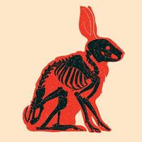 Skeleton of rabbit, bunny. Colorful cute screen printing effect. Riso print effect. illustration. Graphic element for fabric, textile, clothing, wrapping paper, wallpaper, poster. vector
