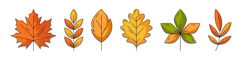 Set of various autumn fallen leaves, flat trendy colorful line icons. Maple, oak, chestnut, rowan, aspen leaf. Fall collection of yellow, orange color. Foliage isolated on white background vector