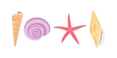 Set with shells and starfish isolated on white background. vector