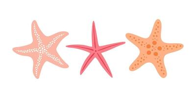 Set with starfish isolated on white background. Hand drawn in minimalistic style. vector