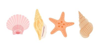 Set with shells and starfish isolated on white background. vector
