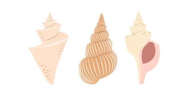 Set with beige spiral shell isolated on white background. Hand drawn in minimalistic style. vector