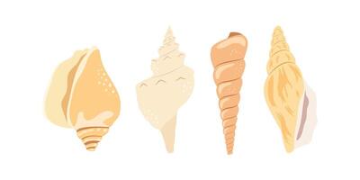 Set with beige spiral shell isolated on white background. Hand drawn in minimalistic style. vector