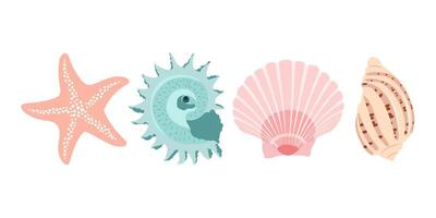Set with shells and starfish isolated on white background. vector