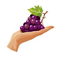 Freshly and healthy black grape in the palm of the hand isolated on white background. illustration in flat style with fruit. Clipart for card, banner, flyer, poster design vector