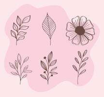 bundle of spring flowers and leafs hand drawn set icons vector