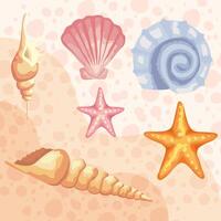 bundle of six sea shells colors set pattern vector