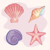 bundle of four sea shells colors set icons vector