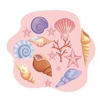 bundle of sea shells colors set icons vector