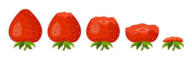 Strawberry eating steps icon set. Stages of biting red berry from Whole, bitten and entirely eaten. bite progression sequence animation of eaten. Hand drawn flat style isolated illustration vector