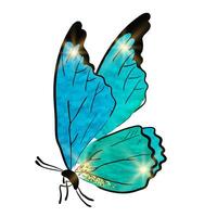 Blue Butterfly with gold shimmer and light on wings. Hand write illustration watercolor style. Isolated illustration on white background vector