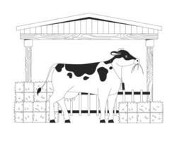 Cow eating hay in barn black and white flat line illustration. Milk farm animal with dried grass packs 2D lineart character isolated. Large cattle agricultural breeding monochrome outline image vector
