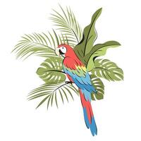 Cute cartoon parrot with different palm and monstera leaves in bright colors. vector