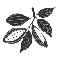 Cacao - cocoa beans beans on white background. vector
