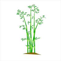 A group of bamboo tree with some green leaves and a white background. vector