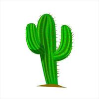 A Cactus full of spines on it with a white background. vector