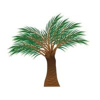 Palm Tree with a white background. vector