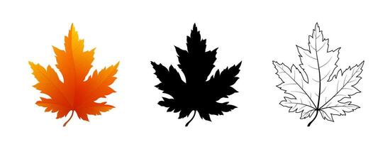 Set of maple leaves icons isolated on white background. Bright autumn red maple leaf, black silhouette and outline vector