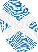 Fingerprint colored with the national flag of Scotland vector