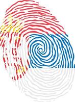 Fingerprint colored with the national flag of Serbia vector