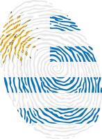 Fingerprint colored with the national flag of Uruguay vector