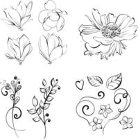 Magnolia and anemone pattern. Spring clipart, design element in romantic style. Clipart for design in the style of Paris, France vector