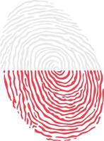 Fingerprint colored with the national flag of Poland vector