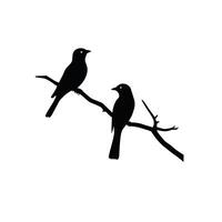 Bird silhouette collection. Set of birds black and white illustration vector