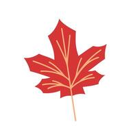 Autumn red maple leaf icon in flat style. illustration isolated on a white background. vector
