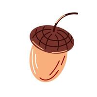 Acorn icon in flat style. Oak tree fruit. Autumn design for logo, print, card, emblem, label. illustration isolated on a white background. vector