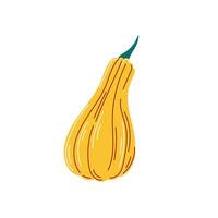 Yellow pumpkin icon in flat style. Autumn design. illustration isolated on a white background. vector