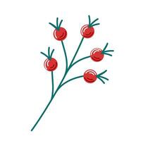 Rowan on a branch in flat style. Red juicy autumn berry. illustration isolated on a white background. vector