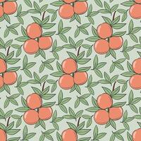 Seamless pattern with branches full of ripe peaches growing on light green background vector